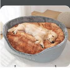 image site chien dormant dans un panier image site chien dormant dans un panier