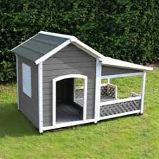 image site maison pour chien image site maison pour chien